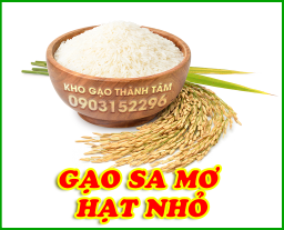 Gạo sa mơ